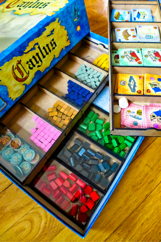 Caylus Compatible Bit Minder – Custom Game Bits